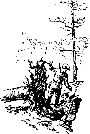 По страницам каменных летописей i_057.png