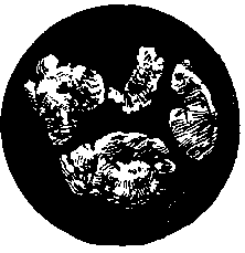 По страницам каменных летописей i_065.png
