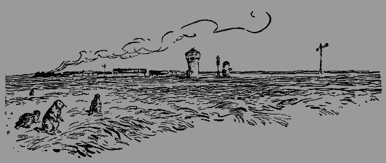 Мой помощник Карсыбек Untitled3.png
