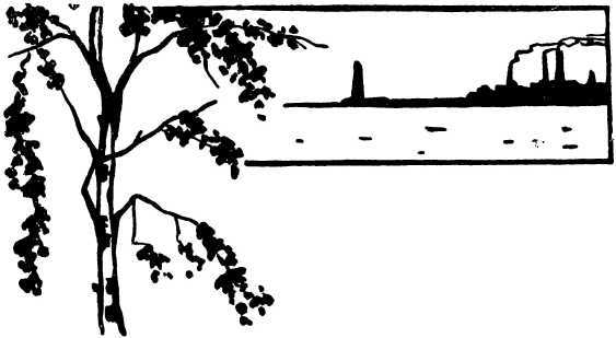 Штормовое предупреждение (сборник) i_002.jpg