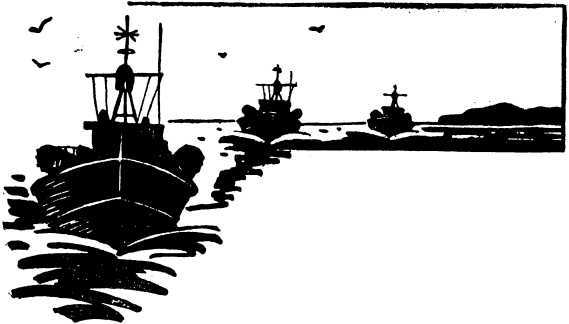 Штормовое предупреждение (сборник) i_007.jpg