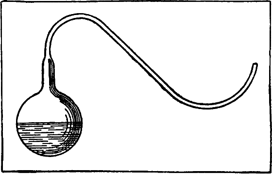 Гомункулус i_023.png