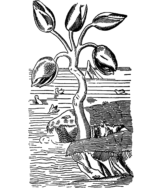 Гомункулус i_045.png