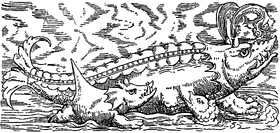 Гомункулус i_052.png