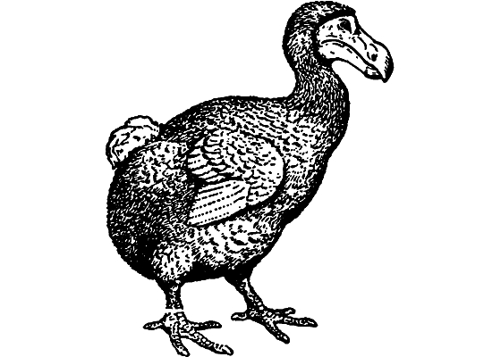 Гомункулус i_071.png