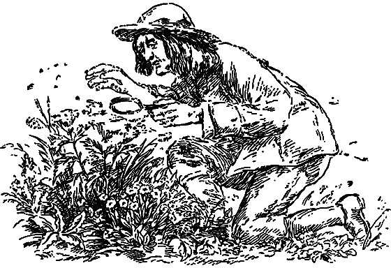 Гомункулус i_075.png