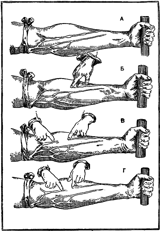 Гомункулус i_013.png