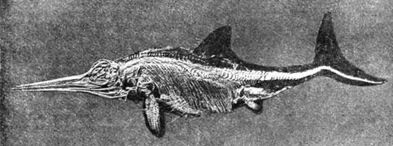 Гомункулус i_098.jpg