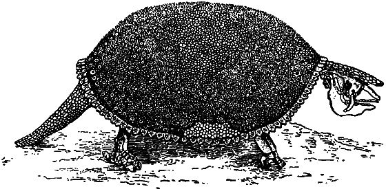 Гомункулус i_139.png