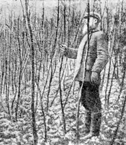 Гомункулус i_145.jpg