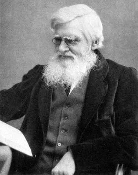 Гомункулус i_156.jpg