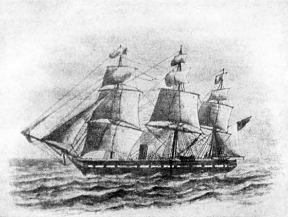 Гомункулус i_192.jpg