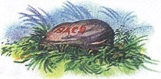 Великан на поляне или первые уроки экологической этики _97.jpg