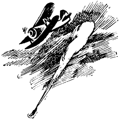 Зимородок i_001.png