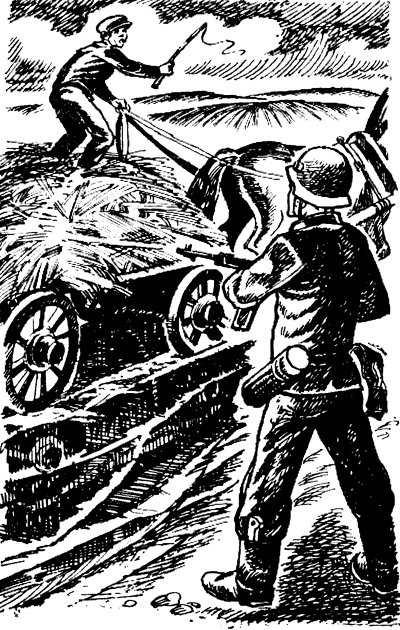 Зимородок i_005.png