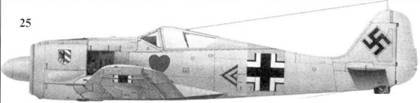 Асы люфтваффе пилоты Fw 190 на Восточном фронте pic_50.jpg