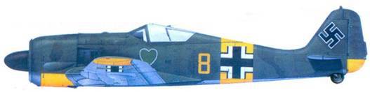 Асы люфтваффе пилоты Fw 190 на Восточном фронте pic_154.jpg