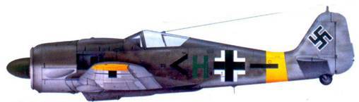 Асы люфтваффе пилоты Fw 190 на Восточном фронте pic_173.jpg