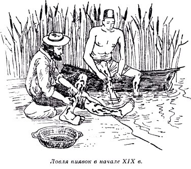 Секреты гирудотерапии i_025.jpg