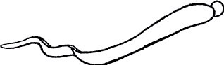 Секреты гирудотерапии i_006.jpg