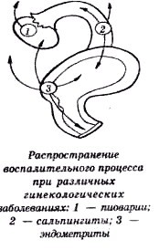 Секреты гирудотерапии i_049.jpg