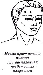 Секреты гирудотерапии i_050.jpg