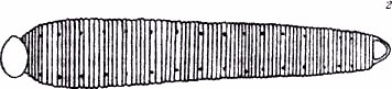 Секреты гирудотерапии i_012.jpg