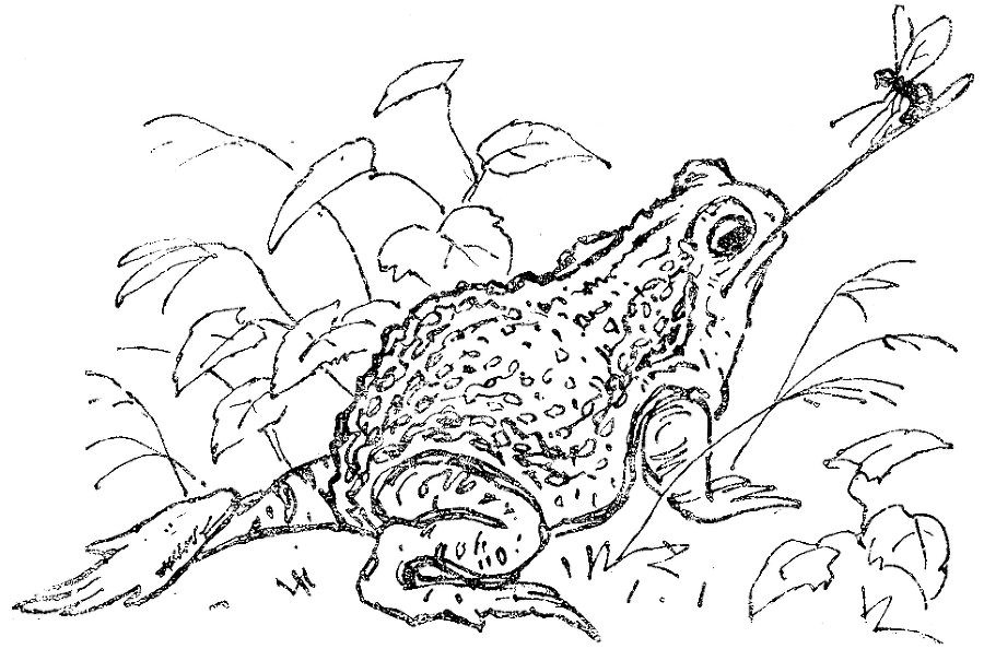 Том-музыкант i_007.png