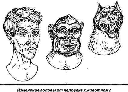 Тайная родословная человека. Загадка превращения людей в животных i_027.jpg