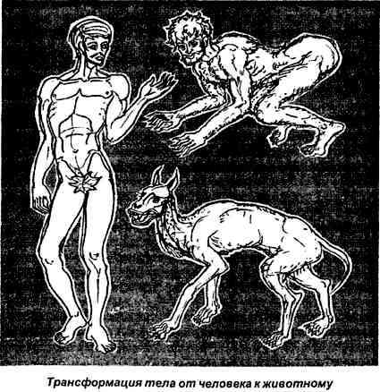 Тайная родословная человека. Загадка превращения людей в животных i_028.jpg