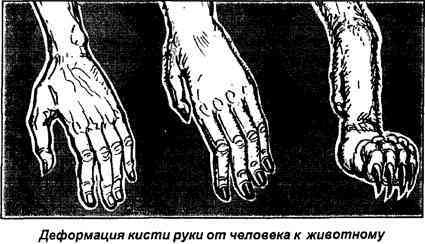 Тайная родословная человека. Загадка превращения людей в животных i_030.jpg