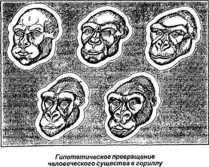 Тайная родословная человека. Загадка превращения людей в животных i_032.jpg