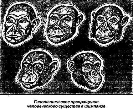Тайная родословная человека. Загадка превращения людей в животных i_035.jpg