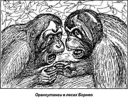 Тайная родословная человека. Загадка превращения людей в животных i_036.jpg