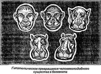 Тайная родословная человека. Загадка превращения людей в животных i_060.jpg