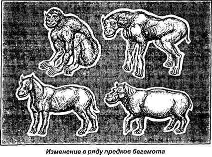 Тайная родословная человека. Загадка превращения людей в животных i_061.jpg