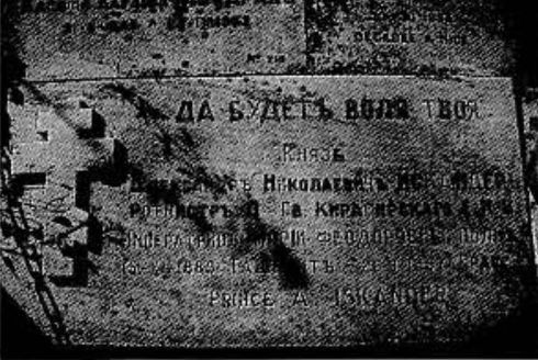 Тайны Белого движения. Победы и поражения. 1918–1920 годы i_035.jpg