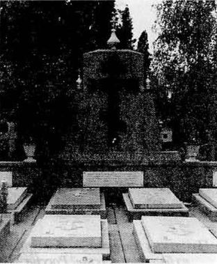 Тайны Белого движения. Победы и поражения. 1918–1920 годы i_038.jpg