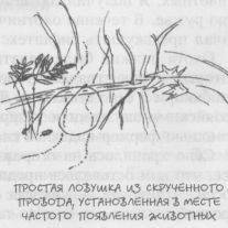 Практическое руководство аборигена по выживанию при чрезвычайных обстоятельствах и умению полагаться только на себя i_032.jpg