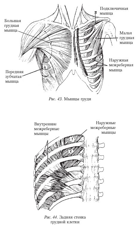 Самоучитель массажа. _43.jpg