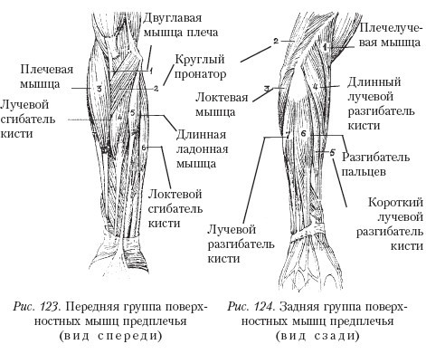 Самоучитель массажа. _124.jpg