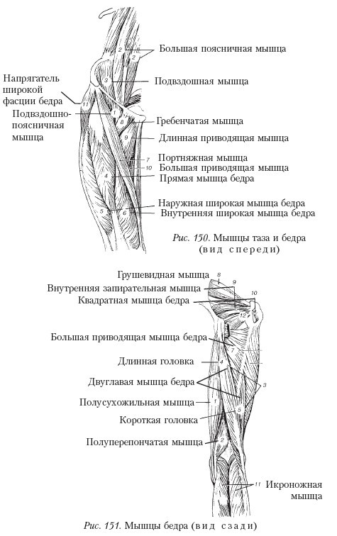 Самоучитель массажа. _151.jpg