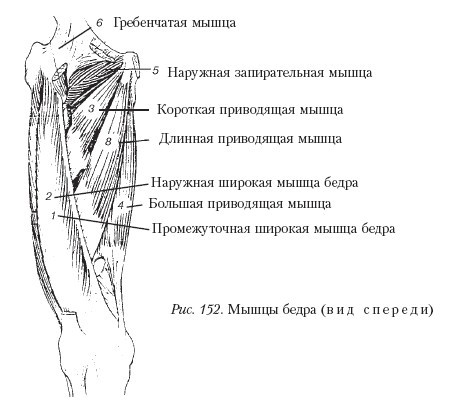 Самоучитель массажа. _152.jpg