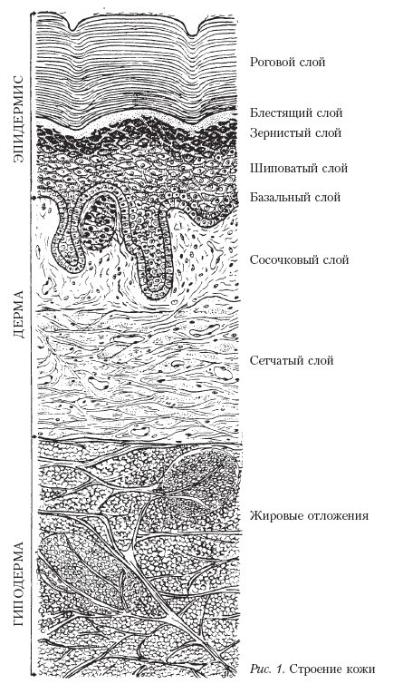 Самоучитель массажа. _1.jpg
