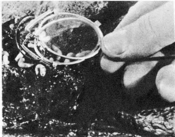 Всеобщая история кино. Том 4 (первый полутом). Послевоенные годы в странах Европы 1919-1929 _62.jpg