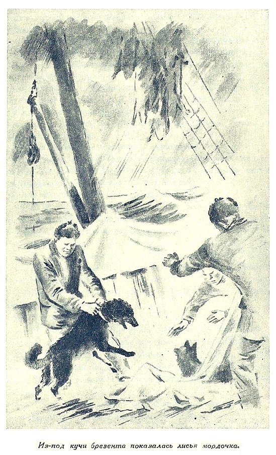На краю света _7.jpg