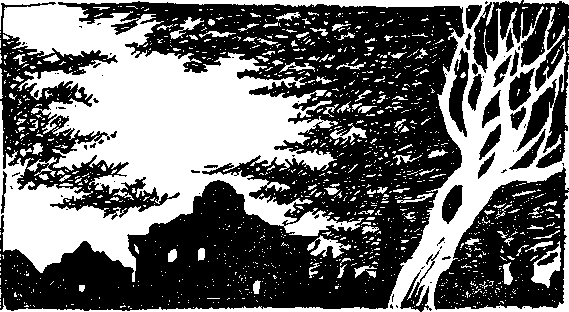 Торговка и поэт i_008.png