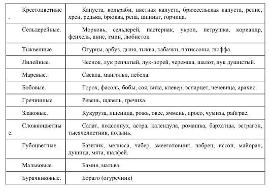 Про огород для бережливого и ленивого BublikB.A.2ivogoilenivogo.jpg