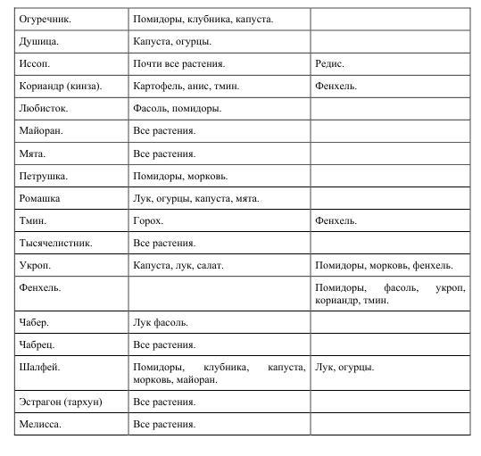 Про огород для бережливого и ленивого BublikB.A.4roogoroddljaberezhlivogoilenivogo.jpg