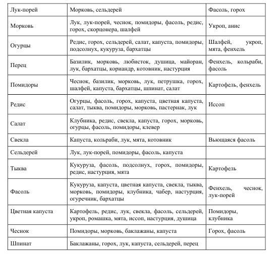Про огород для бережливого и ленивого BublikB.A.P22roogoroddljaberezhlivogoilenivogo.jpg